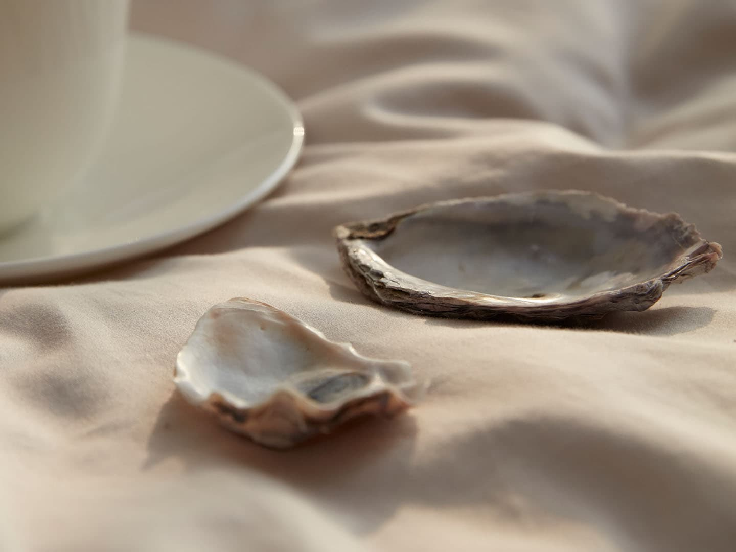 Tyynyliina Vidd - Seashell Beige