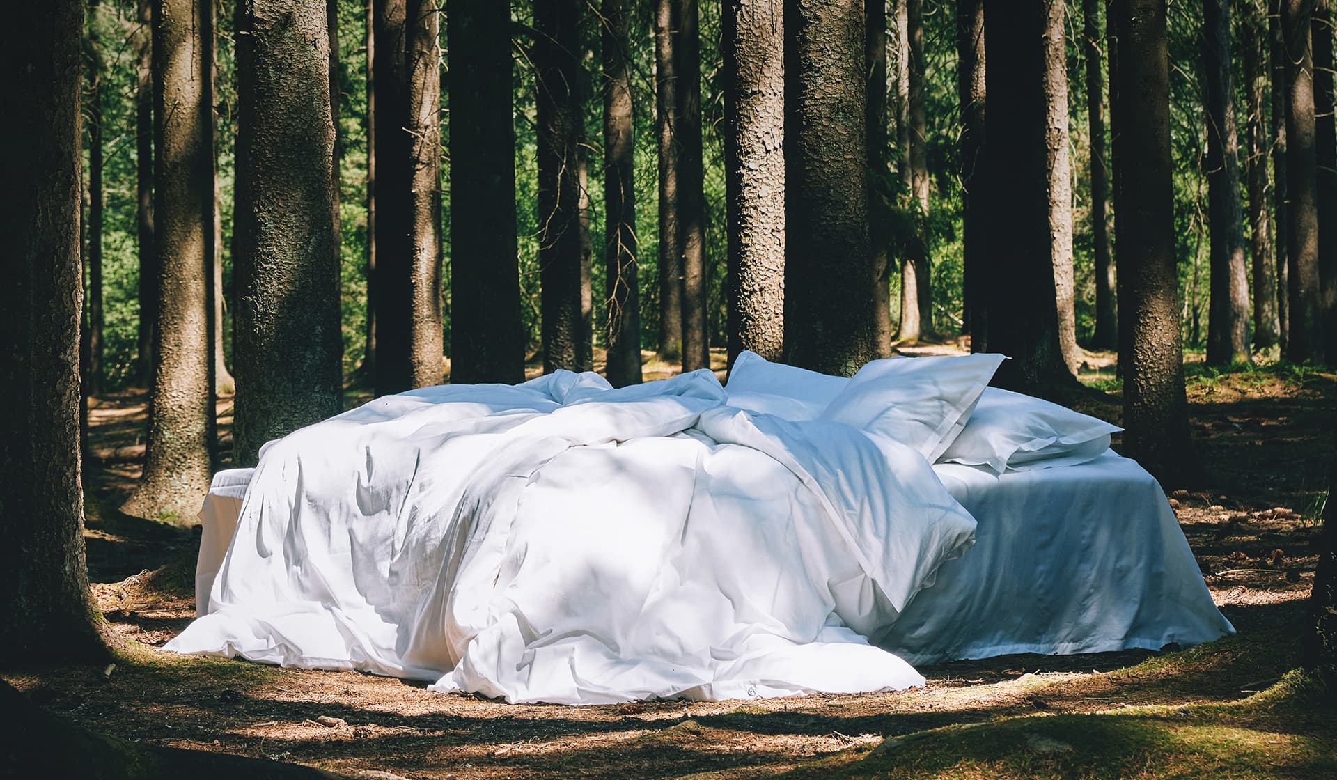 Sängkläder i ekologisk bomull online. Köp nya sängkläder från Alva